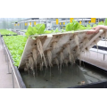 Agricultural polycarbonate greenhouse with hydroponic System